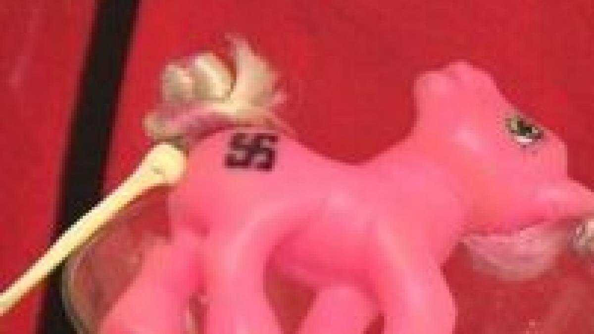 senatul a infiintat o comisie care va ancheta activitatea institutului cultural roman