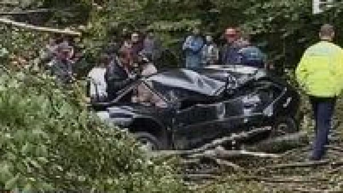 atentie se taie pomi un barbat a murit dupa ce un copac s a prabusit peste masina sa