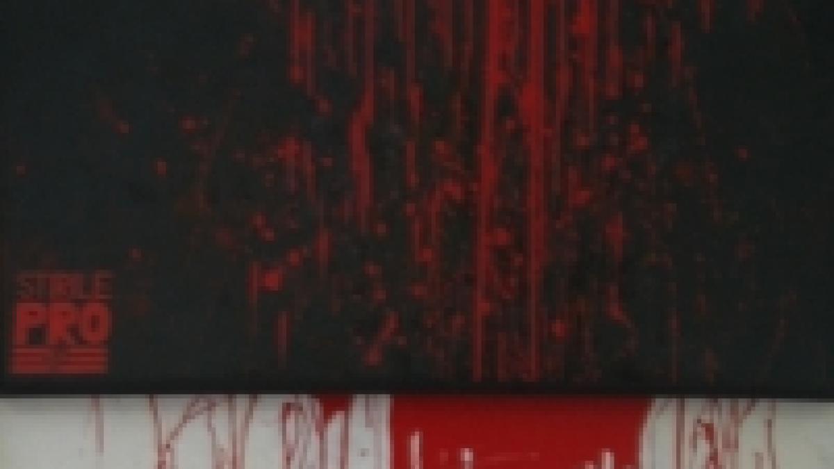 consecinte euromaniacale viol artistic si antisemitism