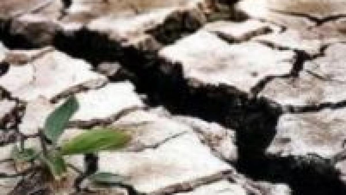 europa supraincalzita temperatura medie anuala a crescut cu un grad