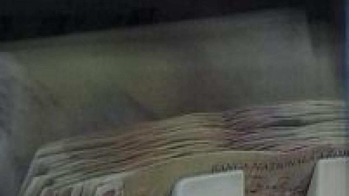 depreciere record pentru moneda nationala 1 euro 3 7603 lei