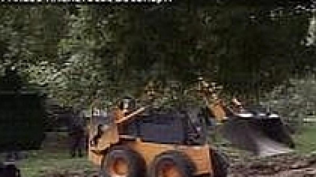 trei terase din parcul tineretului au fost demolate