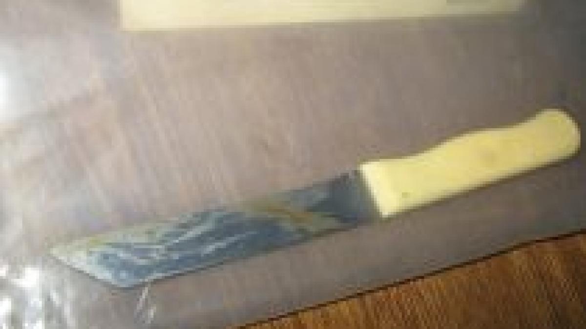 dublu asasinat la craiova un barbat si a omorat sotia si vecinul