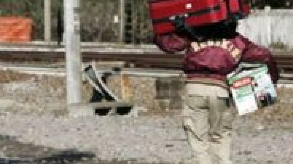 elvetia referendum privind dreptul la libera circulatie a romanilor