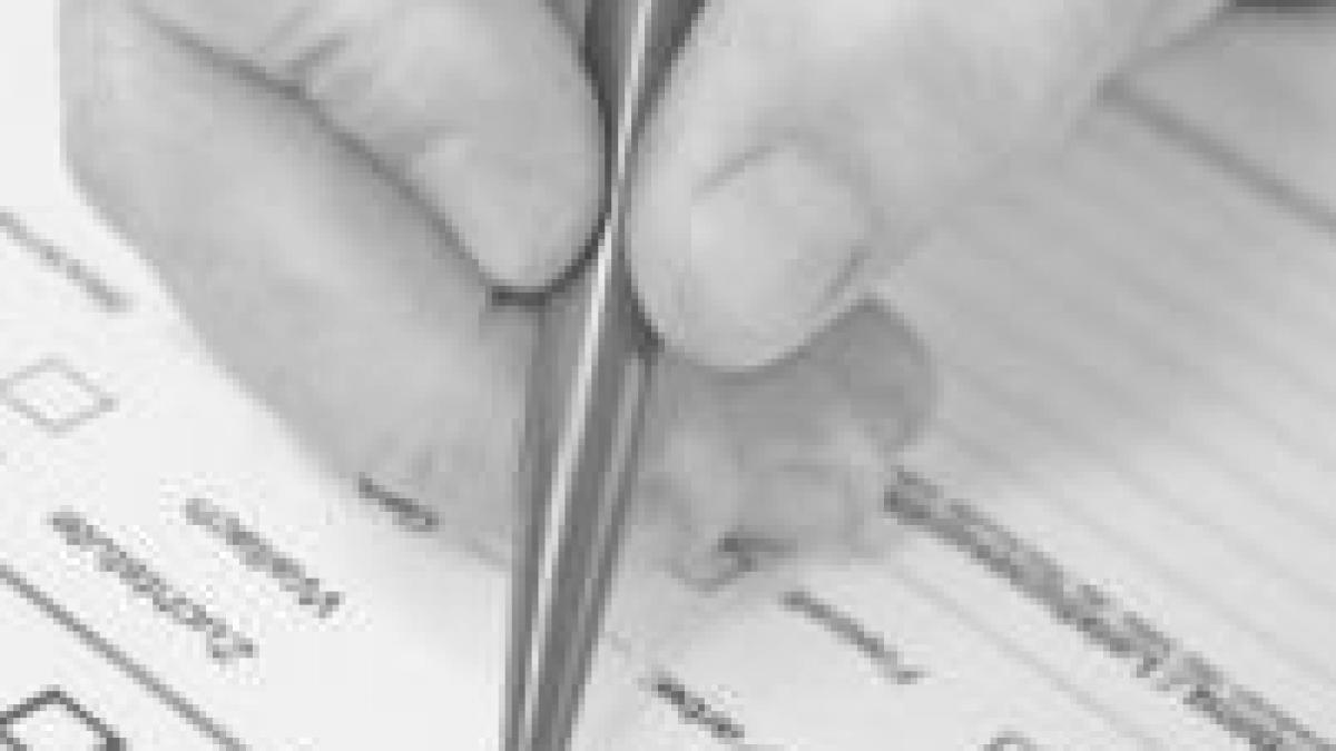 nu moare nimeni daca intirziem cu o luna cine va acorda alocatiile si subventiile de la 1 noiembrie