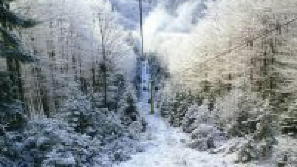 a venit iarna la munte in parang stratul de zapada a atins o jumatate de metru