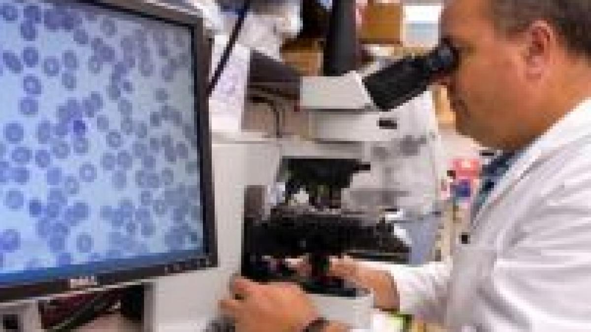 lista celor 12 boli letale care ameninta lumea