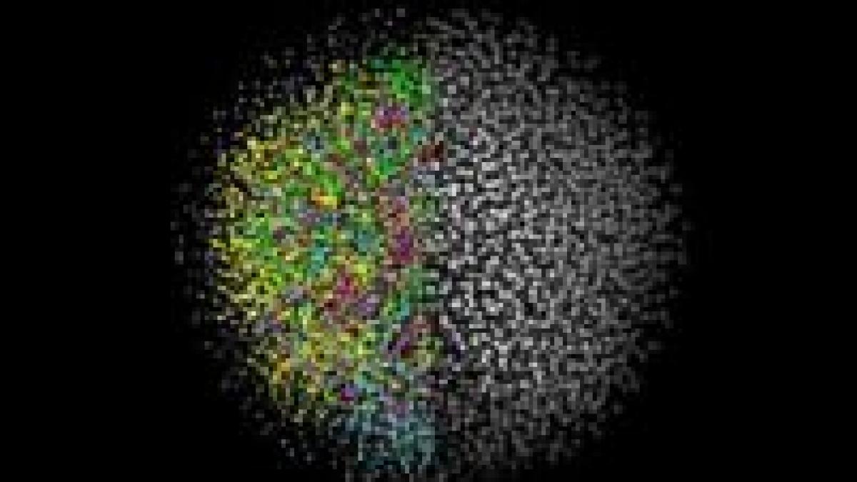 premiera stiintifica embrionul unei vertebrate studiat inca de la stadiul de celula unica