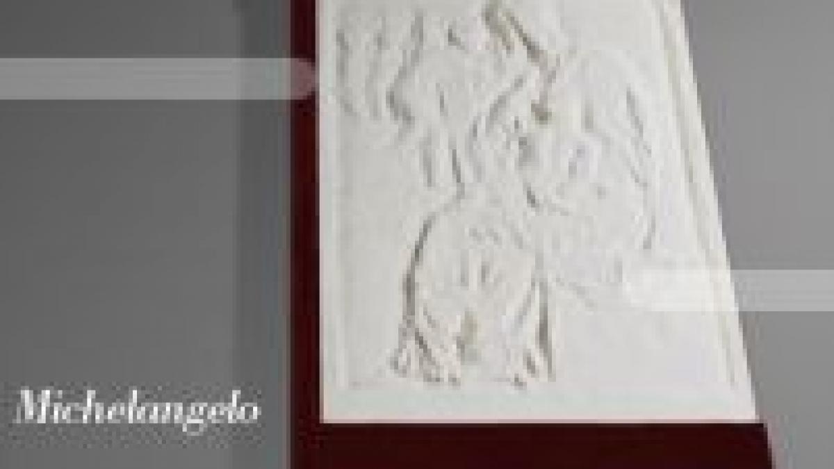 cartea opera de arta 100 000 de euro pentru un volum dedicat lui michelangelo