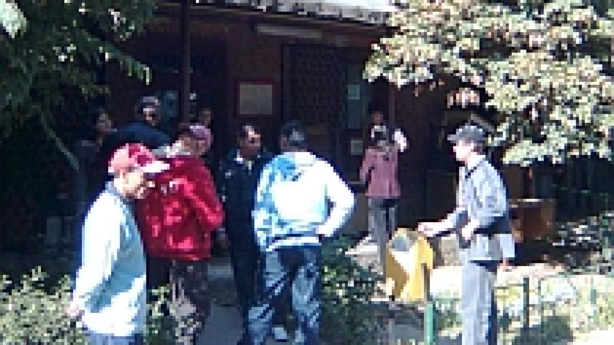 adp sector 6 chemata sa lucreze in weekend o angajata a murit conducerea a musamalizat cazul