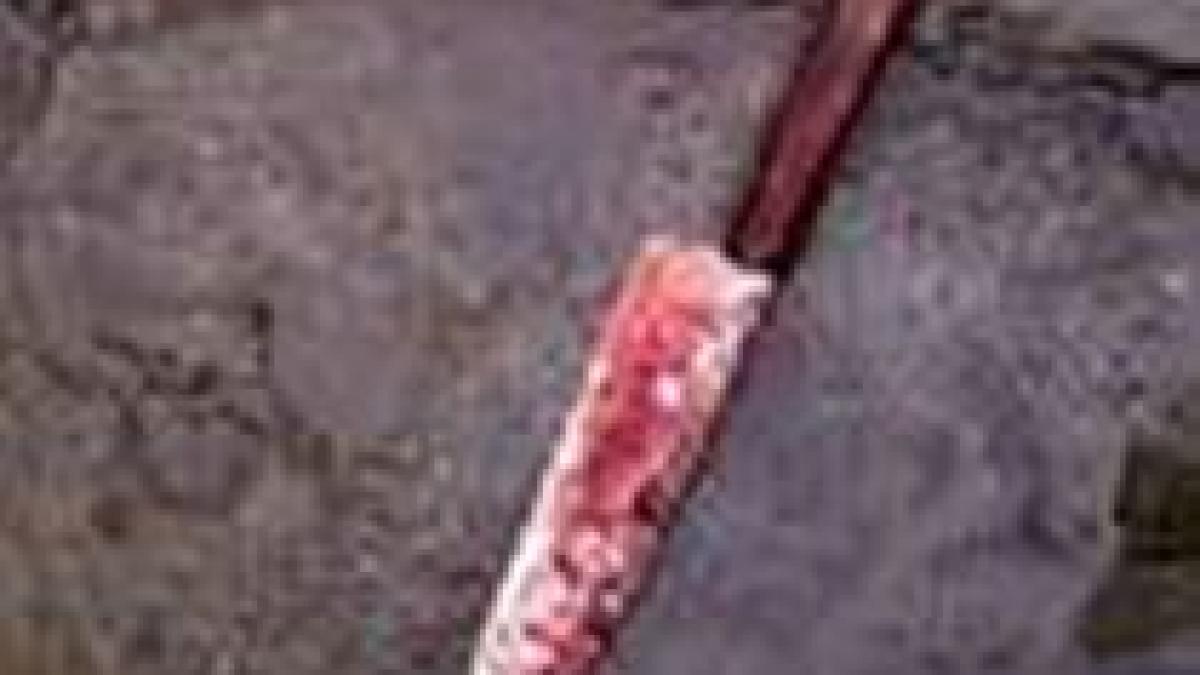 reversul visului american adolescent roman adoptat si injunghiat in america