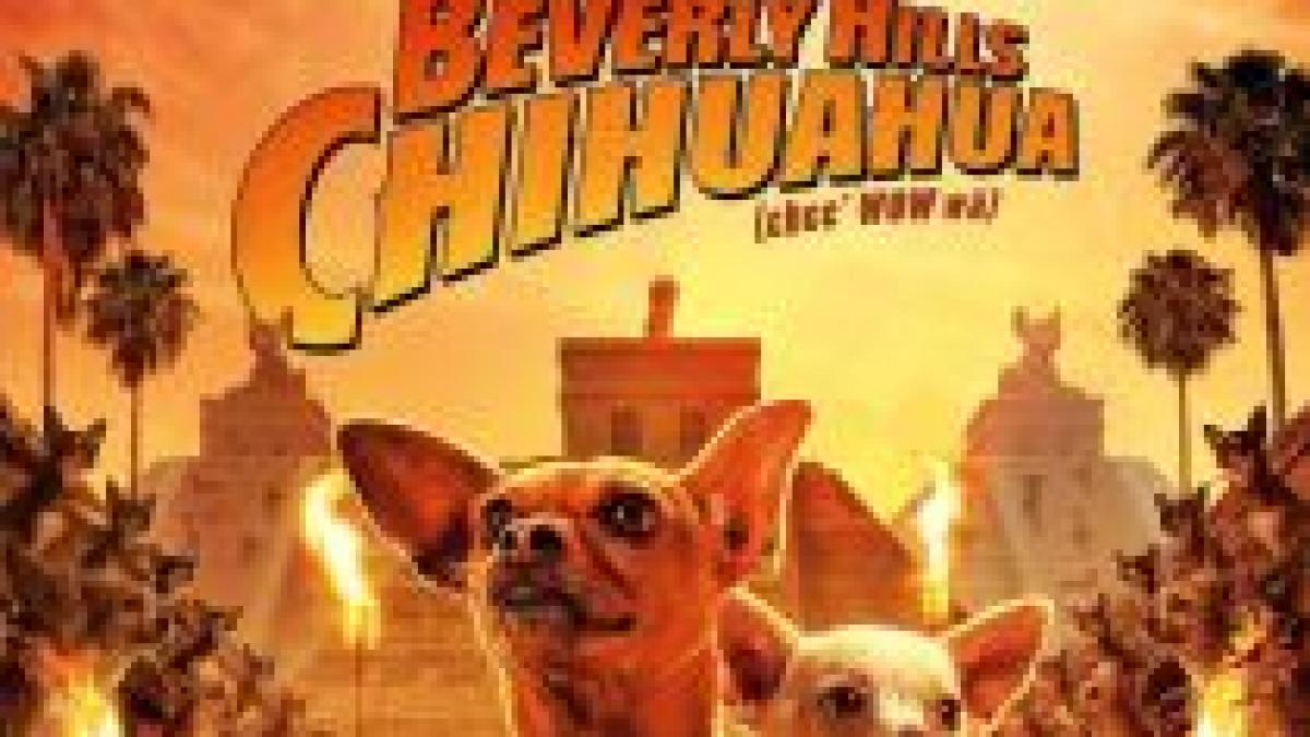 comedia beverly hills chihuahua domina in continuare box office ul american