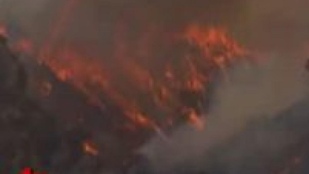 stare de urgenta la los angeles dupa ce valea san fernando a fost mistuita de flacari