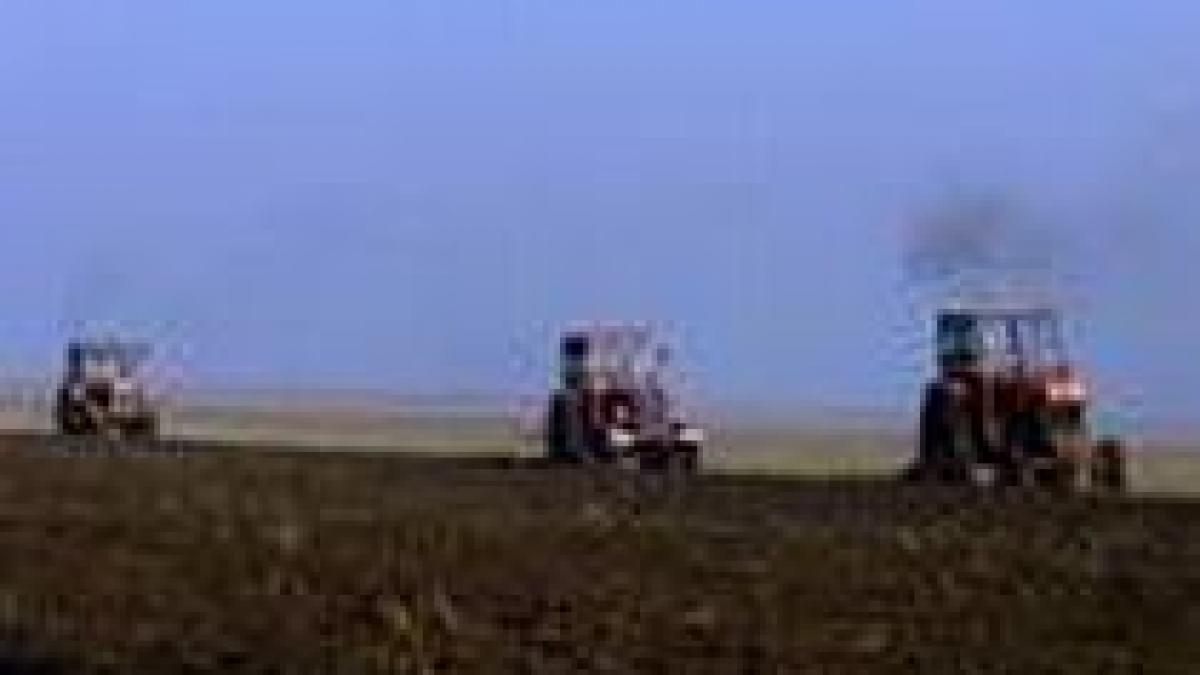 victimele nepotismului tudor biaciu demis de la apia