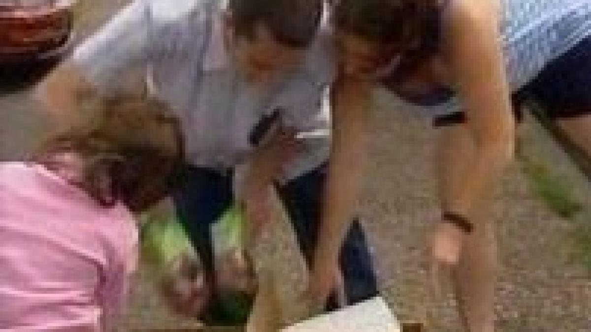 efectele crizei financiare in australia mii de oameni au stat la coada pentru mancarea oferita de