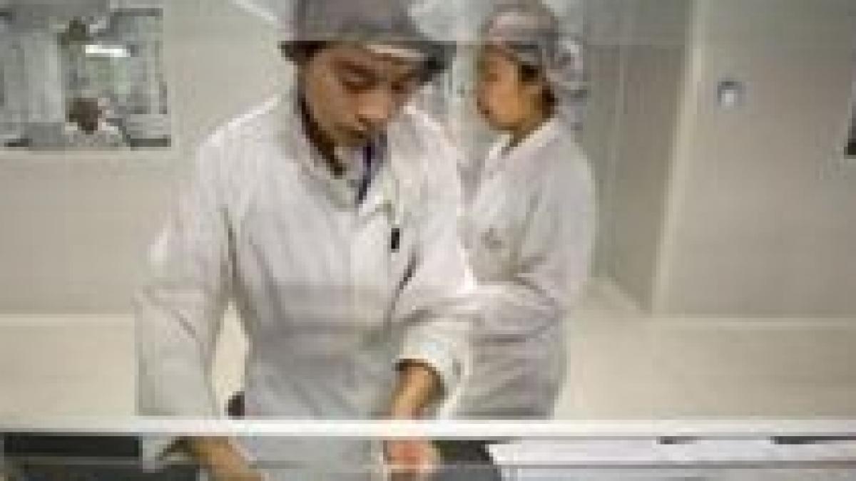 atentie la mancarea chinezeasca pentru caini si pisici 1500 de ratoni morti in china