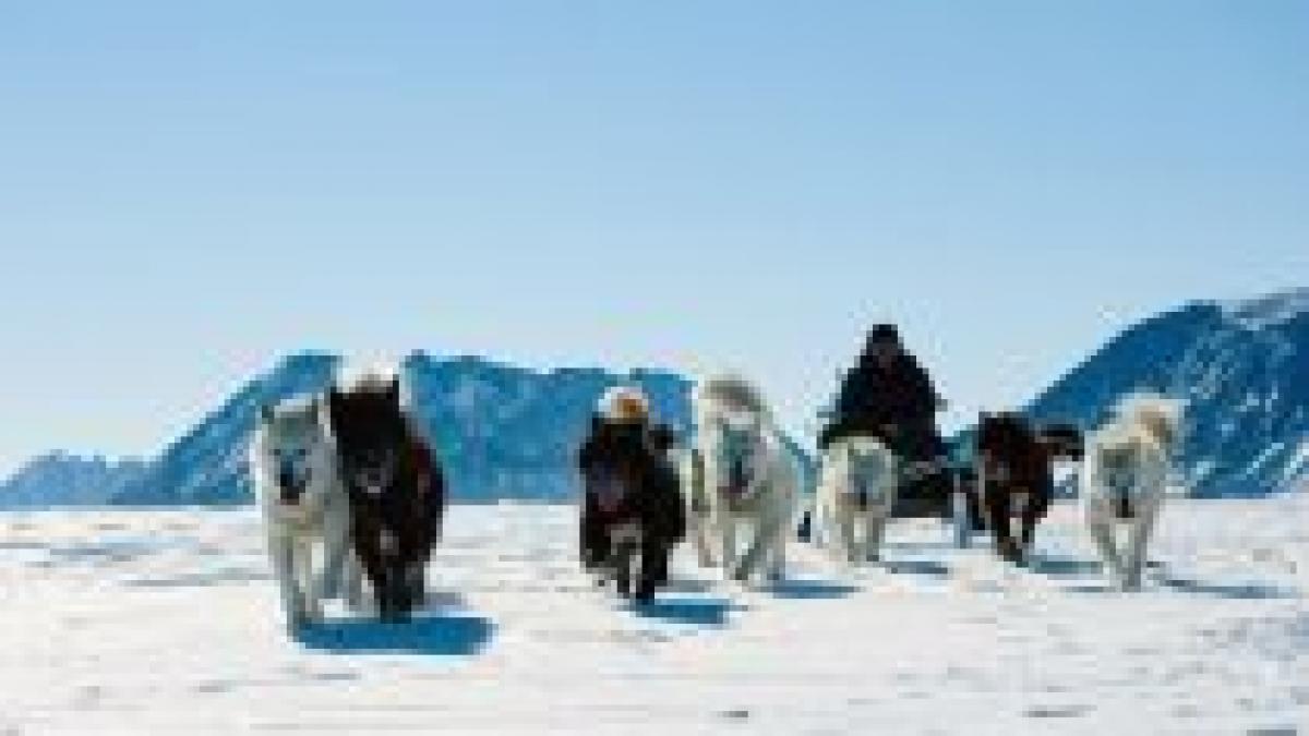 temperaturile din regiunile arctice cu cinci grade mai mari decat cele normale