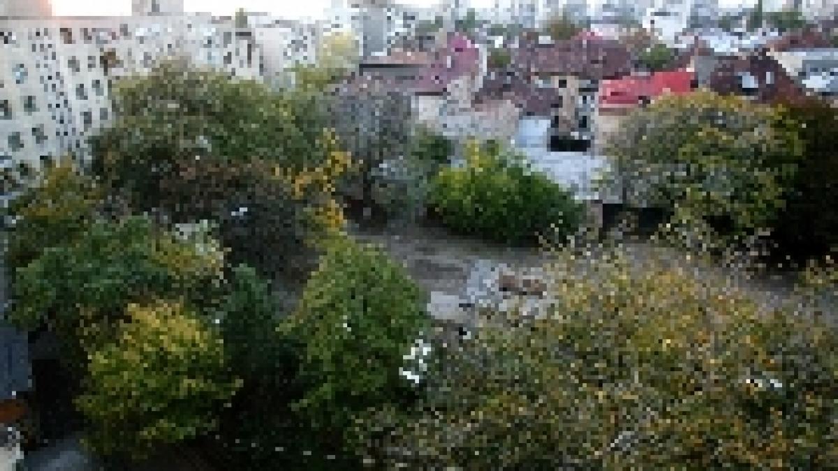 afacerea parcul duca sau cum se fac milioanele de euro in capitala