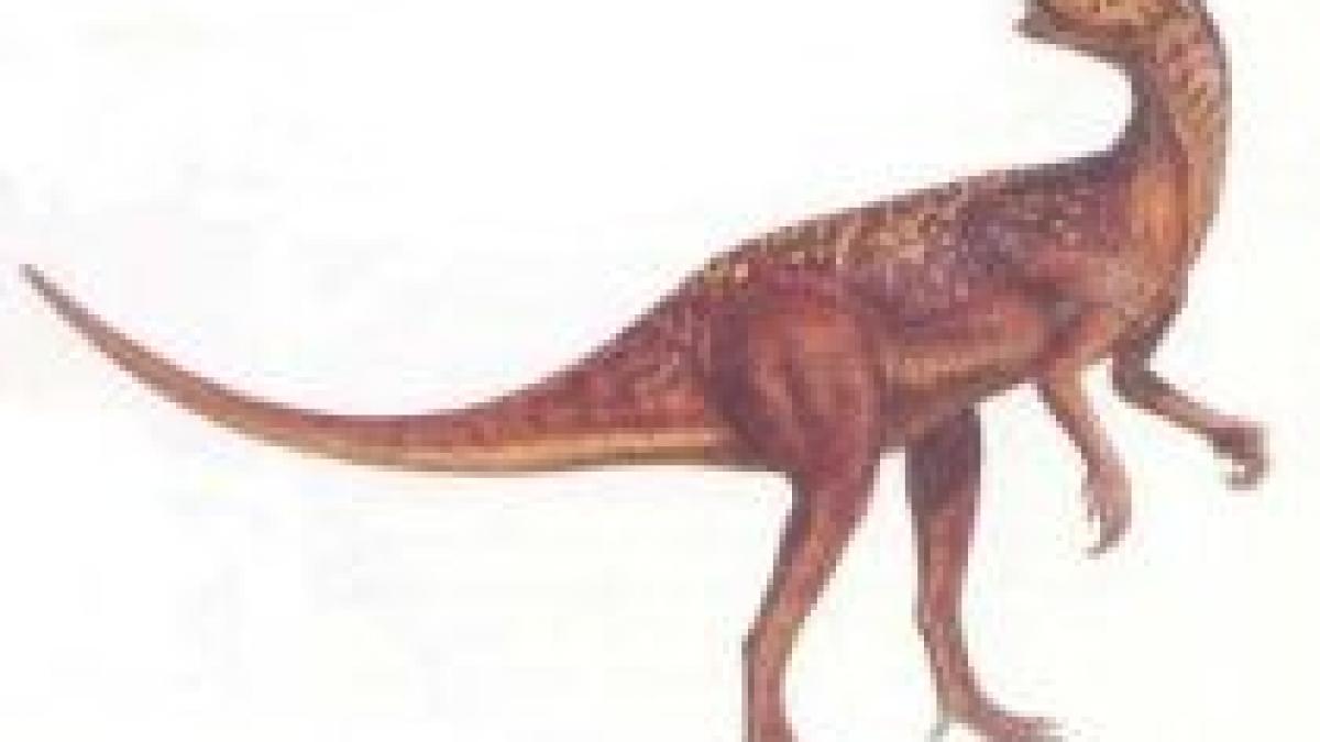 cel mai mic dinozaur din lume descoperit in africa