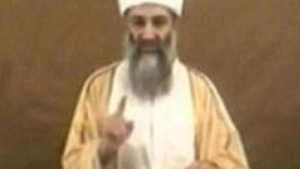 osama bin laden pregateste o carte despre al qaida