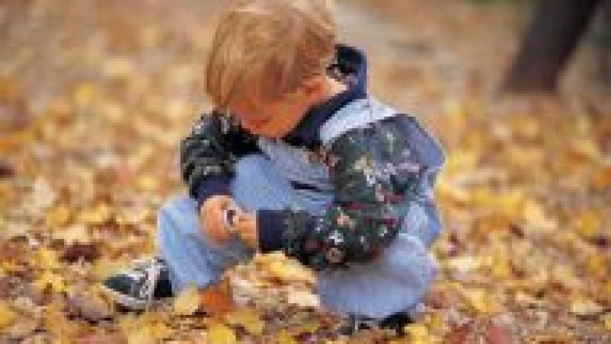 constanta un baiat de sapte ani a murit dupa ce a cazut intr o fosa septica