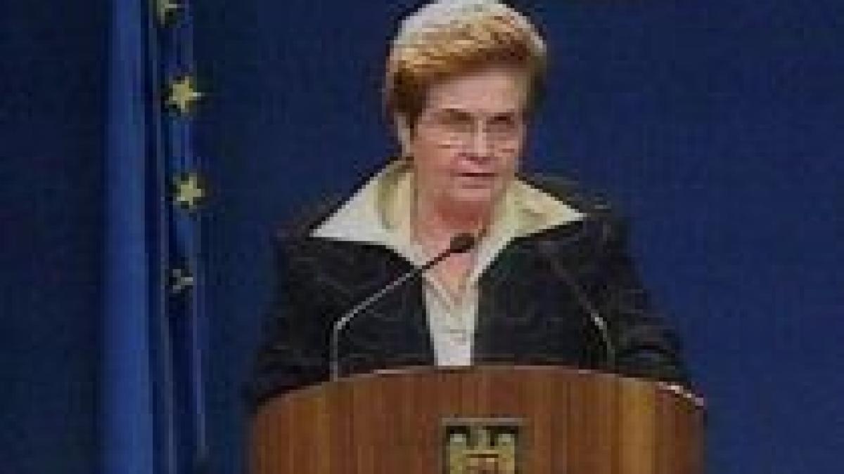 mariana campeanu legea salariilor ar putea fi definitivata la jumatatea lui 2009