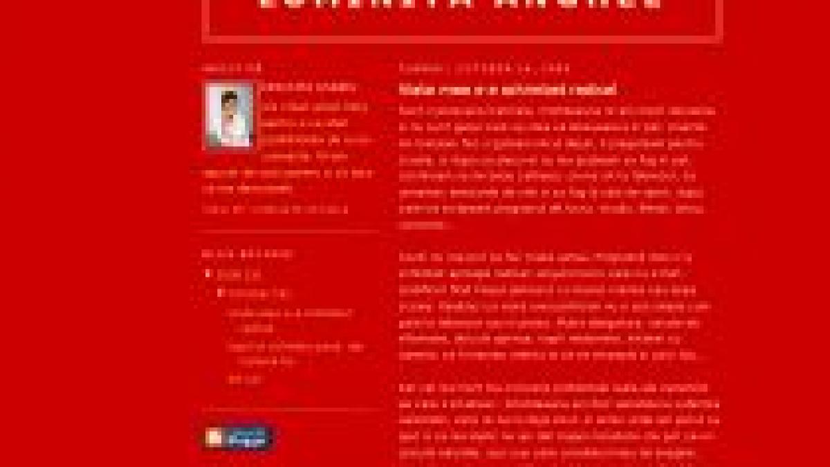 cel mai proaspat politician in blogosfera luminita anghel