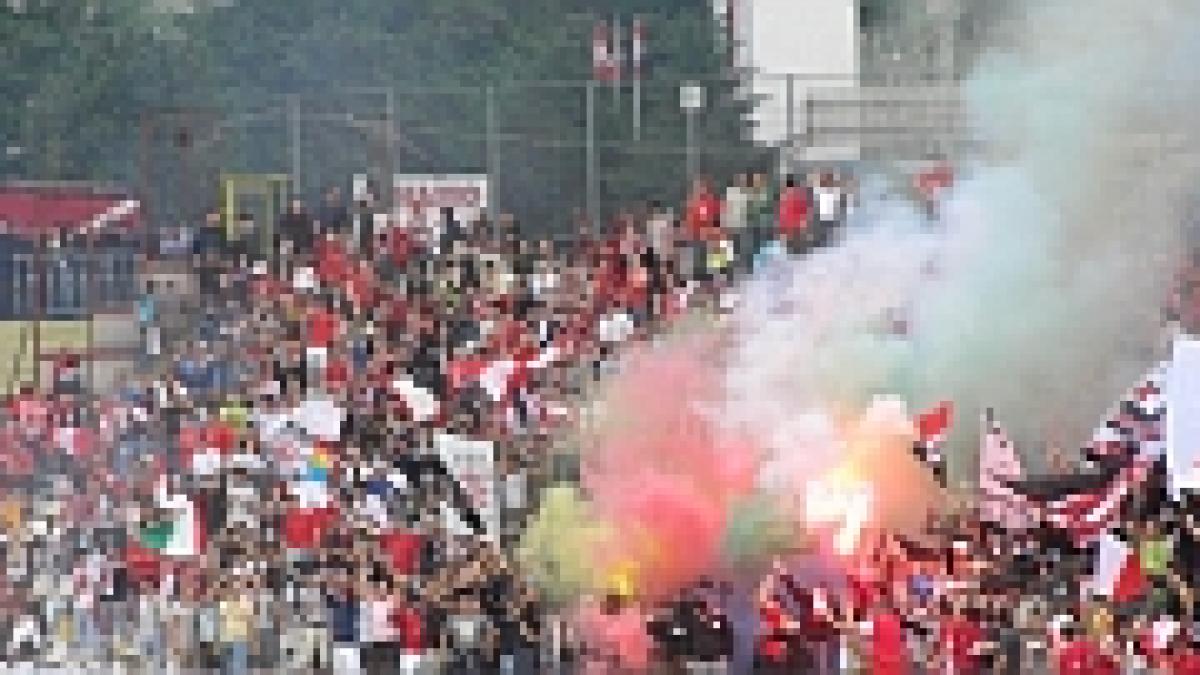 cainii stau la panda un stelist a fost batut la casa de bilete a stadionului dinamo