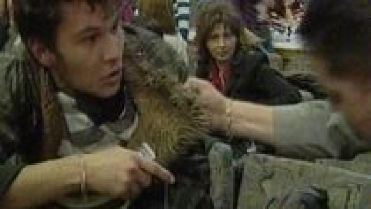 hot la primarie a incercat sa fure un laptop din geanta unei jurnaliste chiar la sedinta