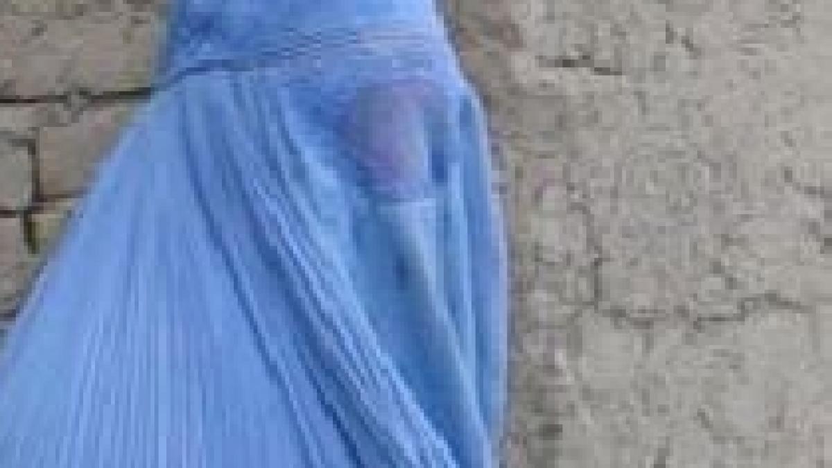 revolutie in lumea araba femeile au oficial dreptul sa si loveasca sotii