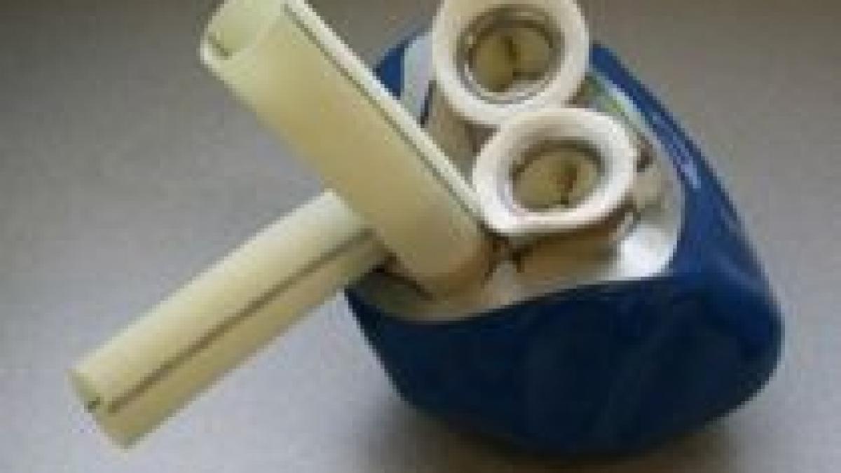 francezii au creat o inima artificiala