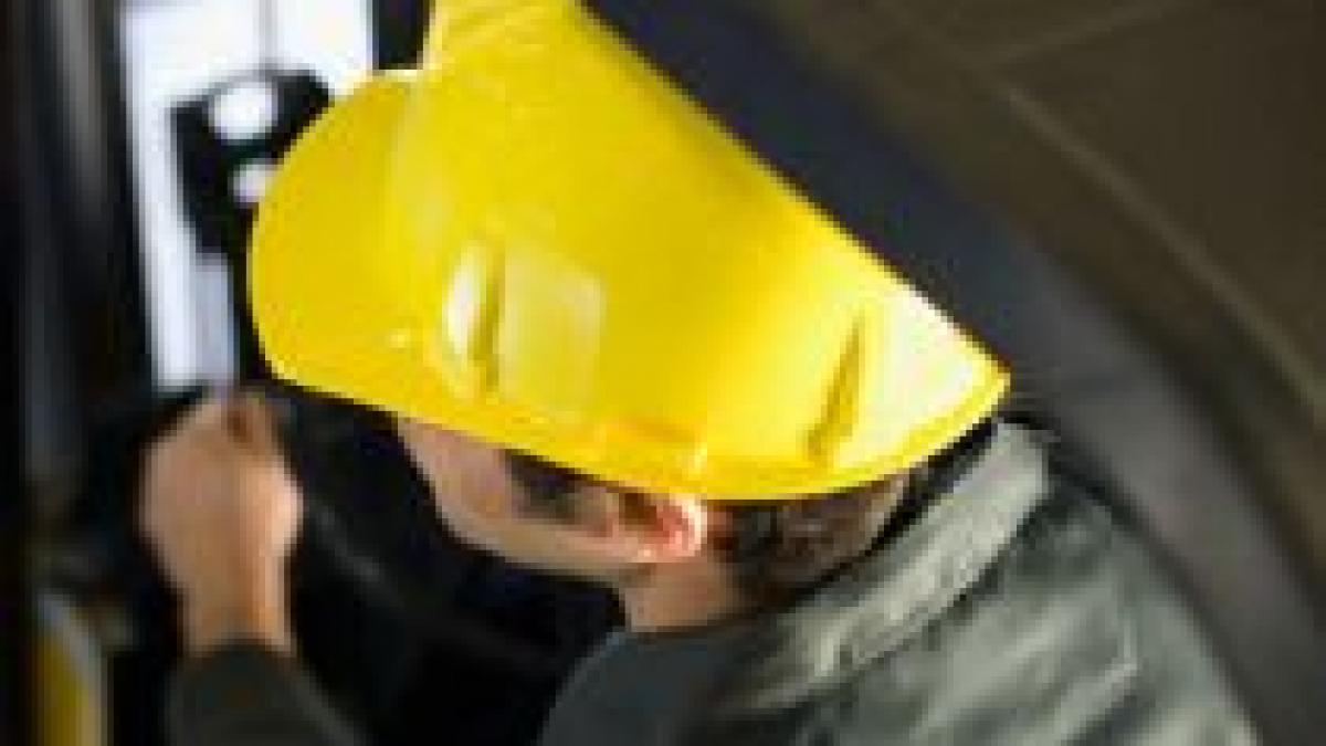 somajul in germania a atins minimul ultimilor 16 ani