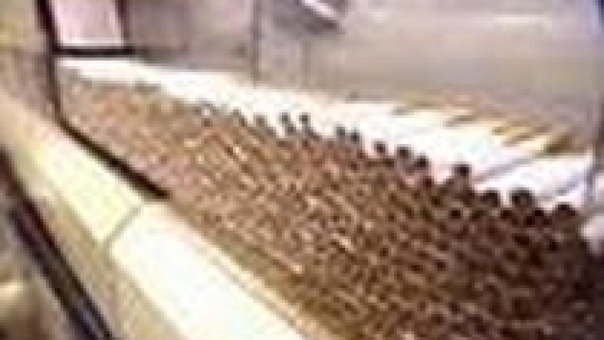 contrabandistii boala marilor producatori de tigari