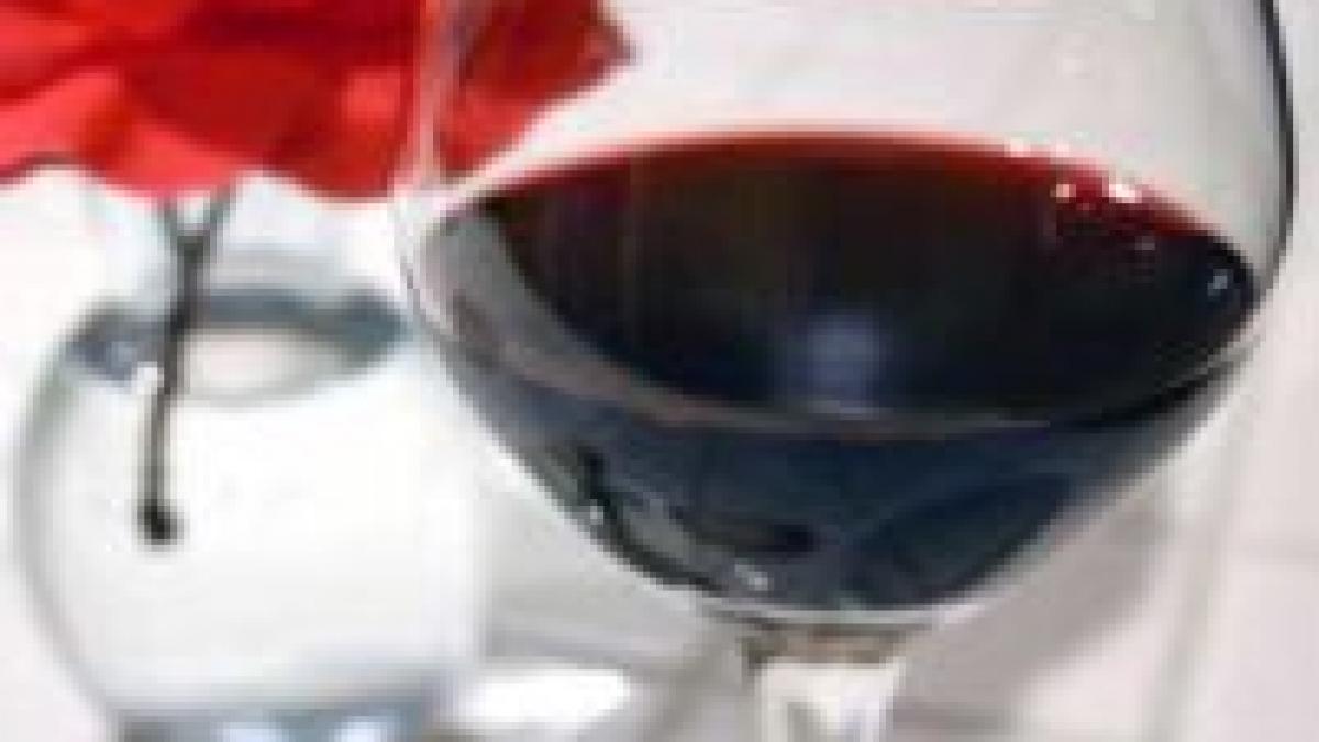 urmariti reporter special la antena3 descopera maestrii gustului