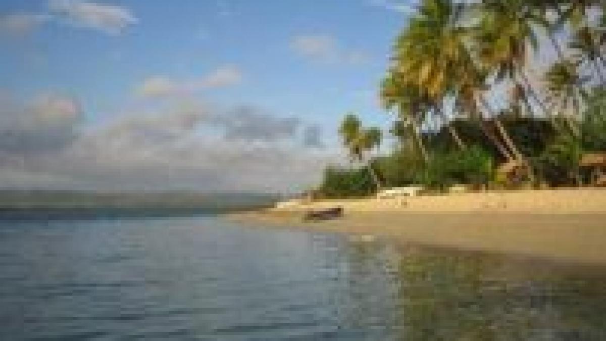 urme ale existentei lui robinson crusoe descoperite pe o insula sud americana