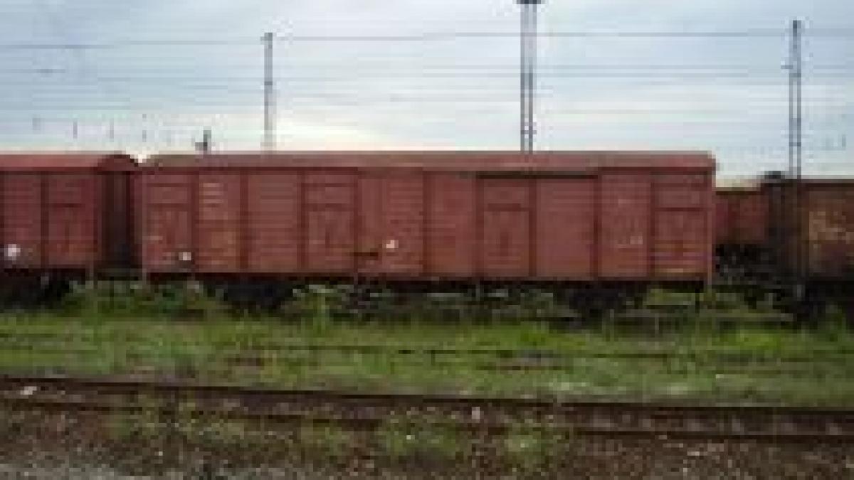 Craiova. Un agent de pază de la Triajul CFR a murit, după ce a fost lovit de un tren