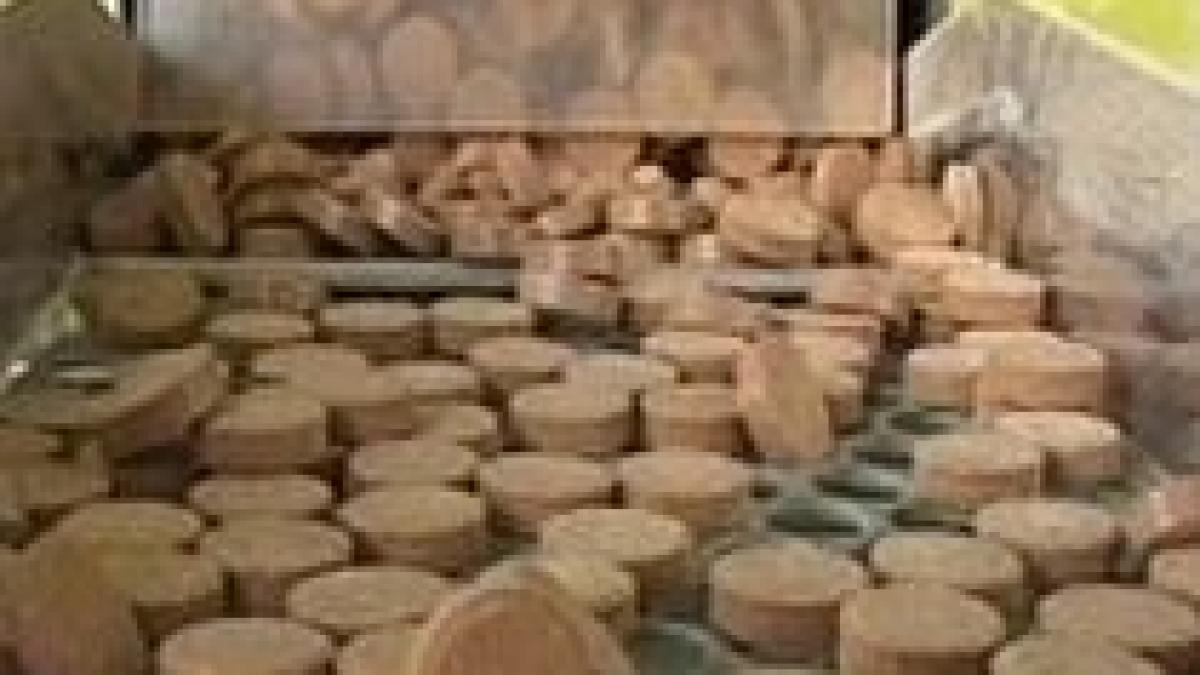 farmacistii refuza comercializarea medicamentelor in supermarket uri