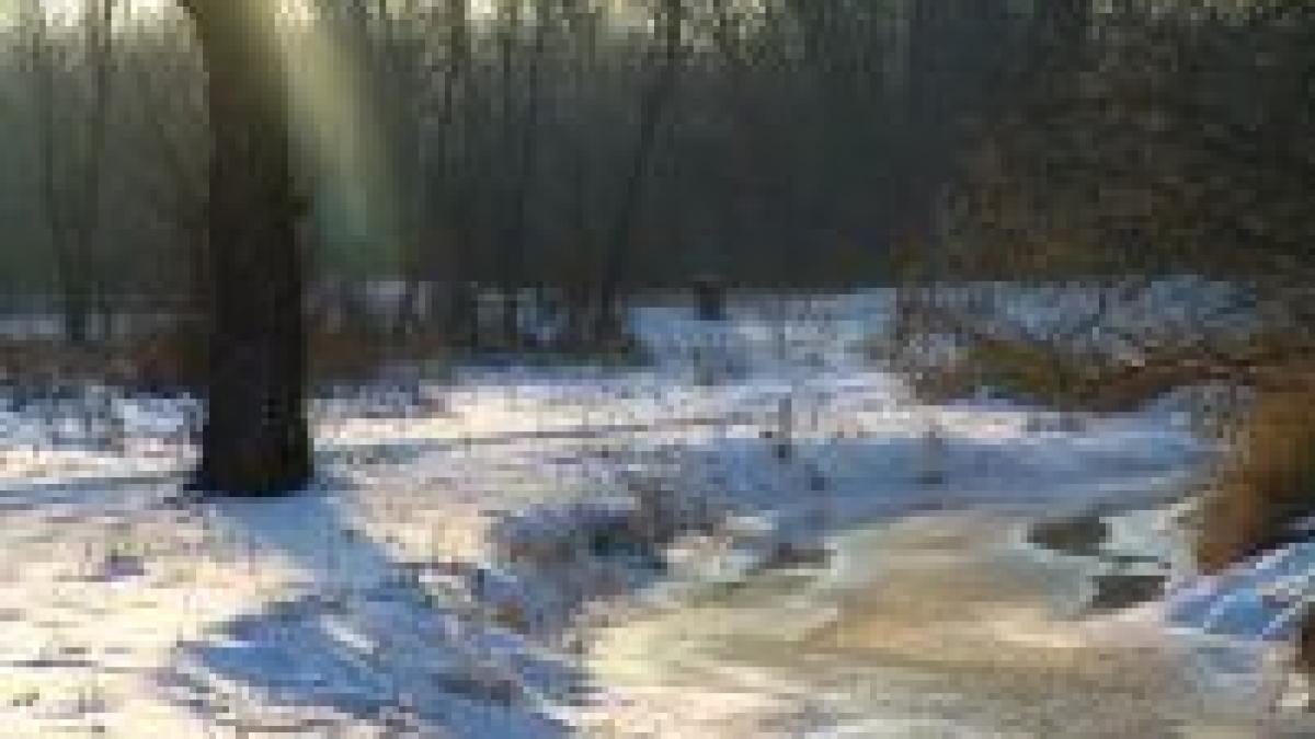 9 1 grade celsius la miercurea ciuc