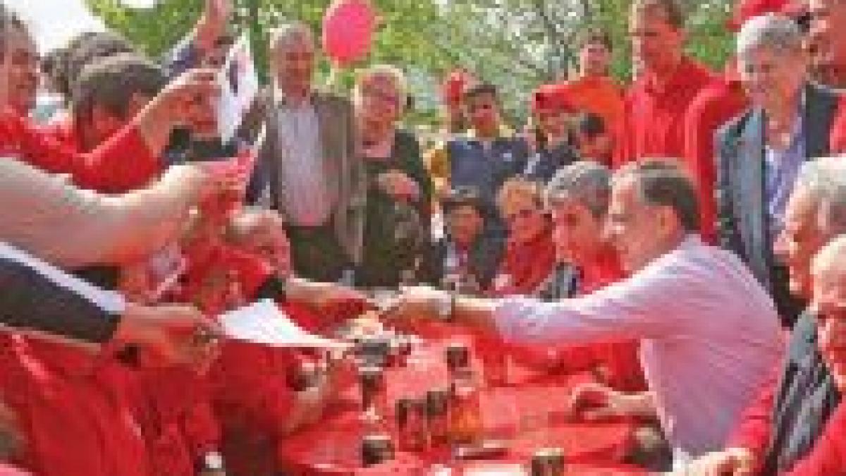 Strategii campaniei PSD. Consultanţii ?stranieri?, doriţi şi huliţi în partid