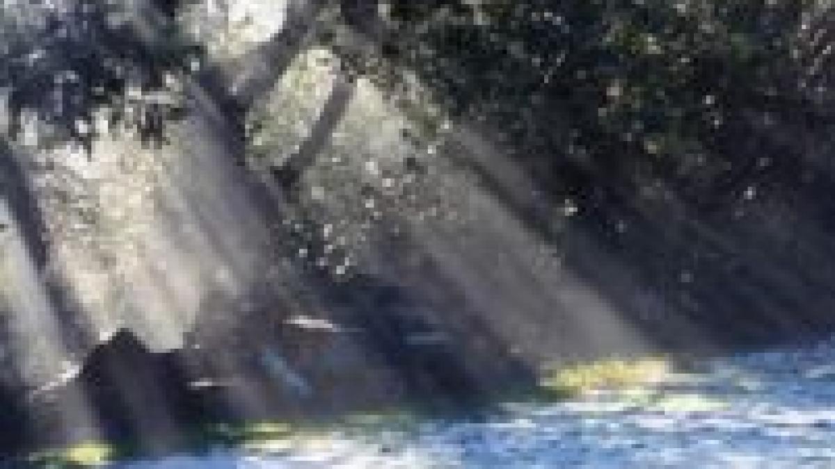 11 3 grade celsius la miercurea ciuc