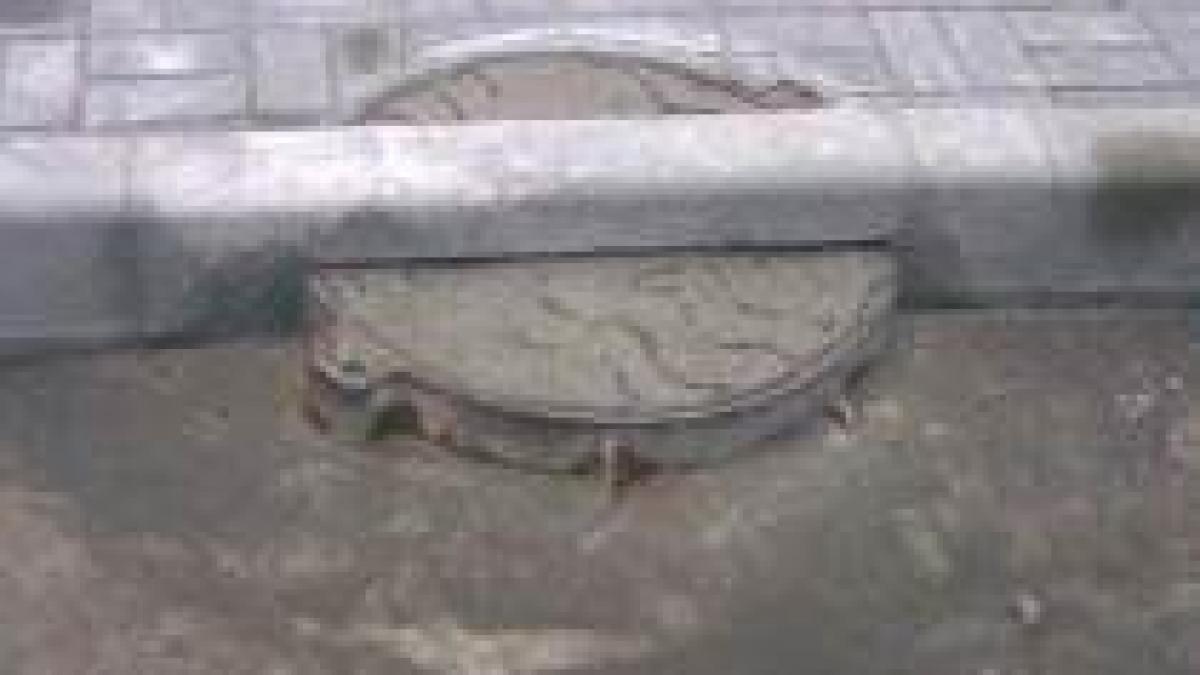 videonews ro borduri oricand oriunde oricum foto