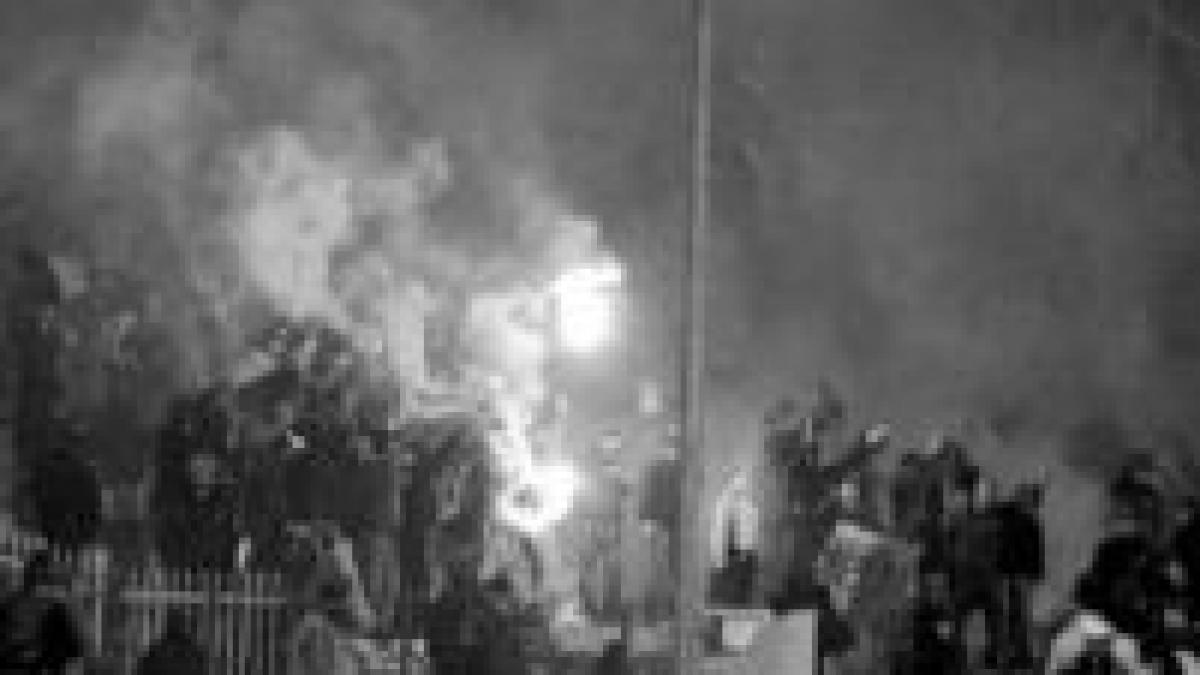 la altii se poate 12 huligani belgieni retinuti pentru luptele de strada video