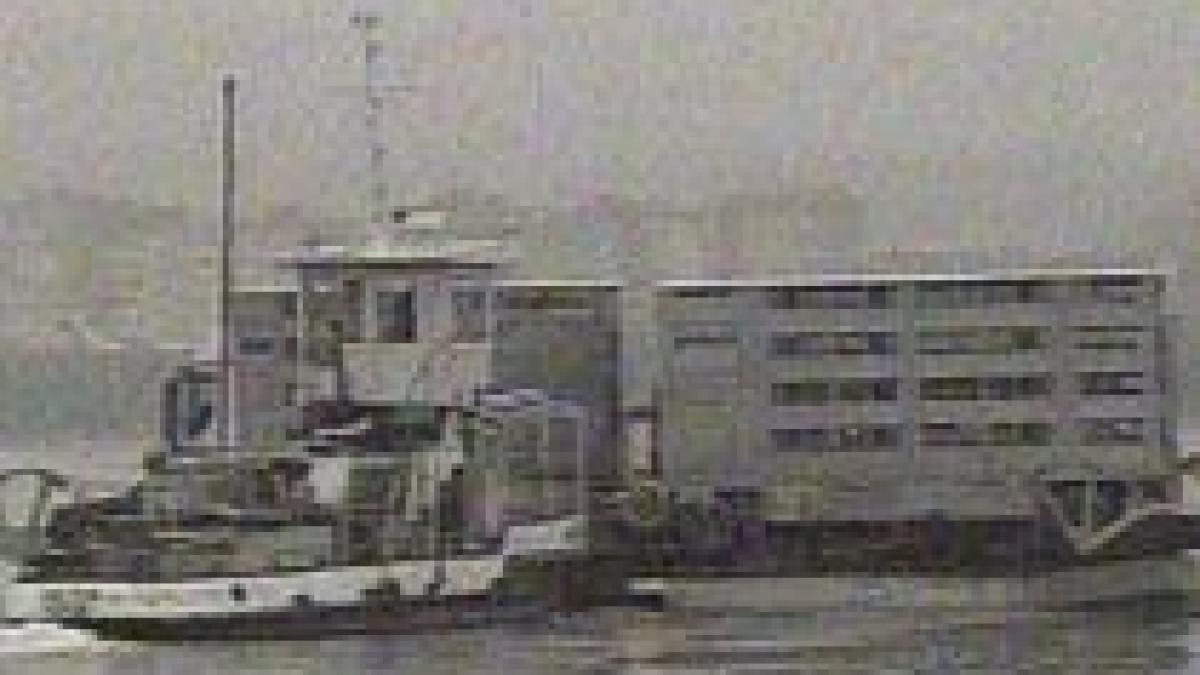 nava scufundata pe dunare in judetul calarasi doua persoane sunt date disparute