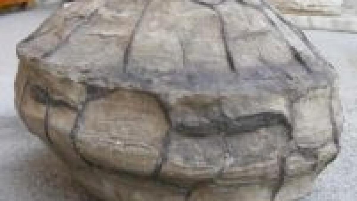 un ozn si o miniatura a sfinxului din bucegi descoperite in masivul ceahlau