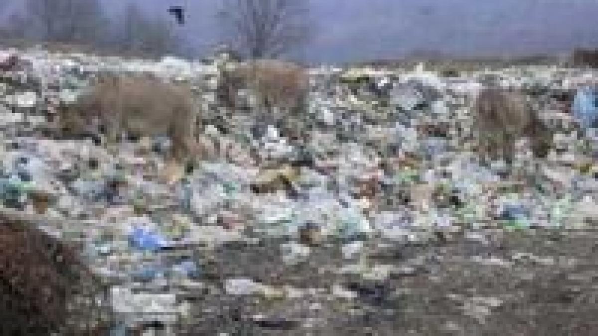 giurgiu locuitorii comunei fratesti protesteaza fata de amplasarea unei gropi de gunoi in zona