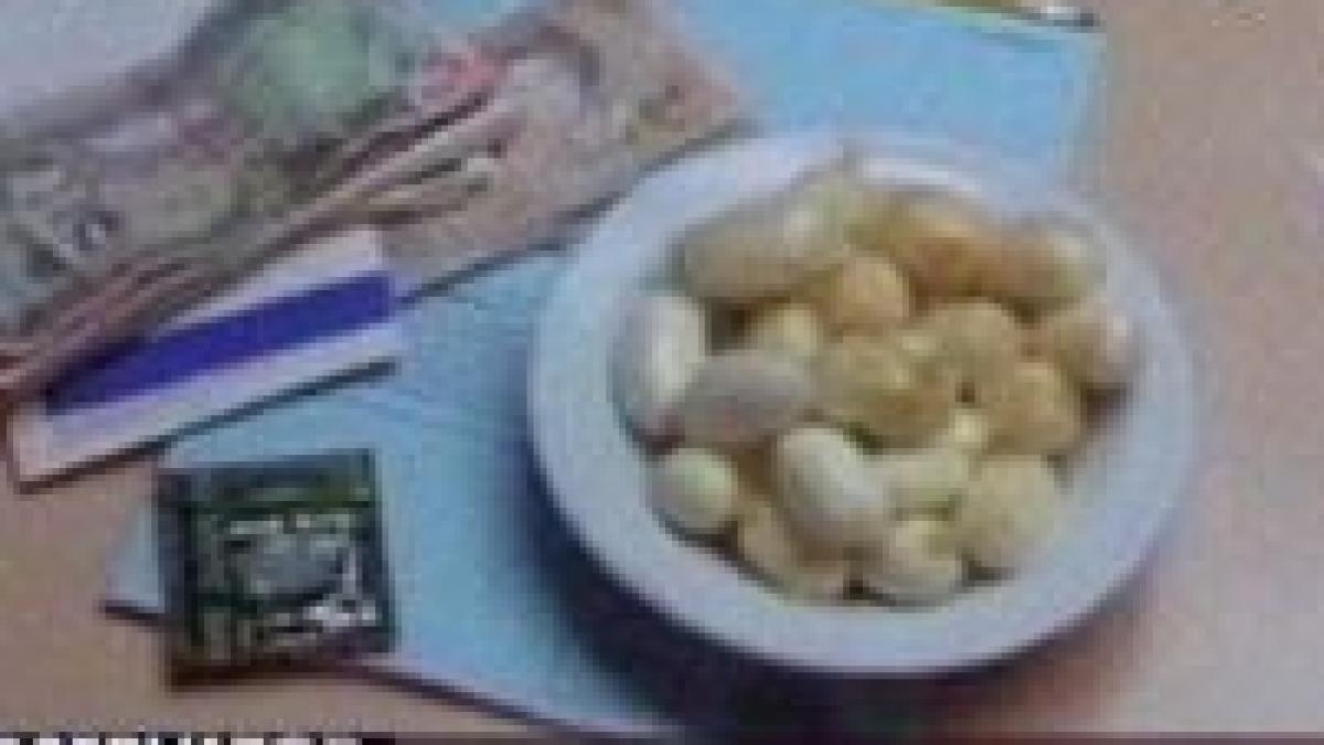 zeci de romani antrenati in republica dominicana sa transporte cocaina in stomac