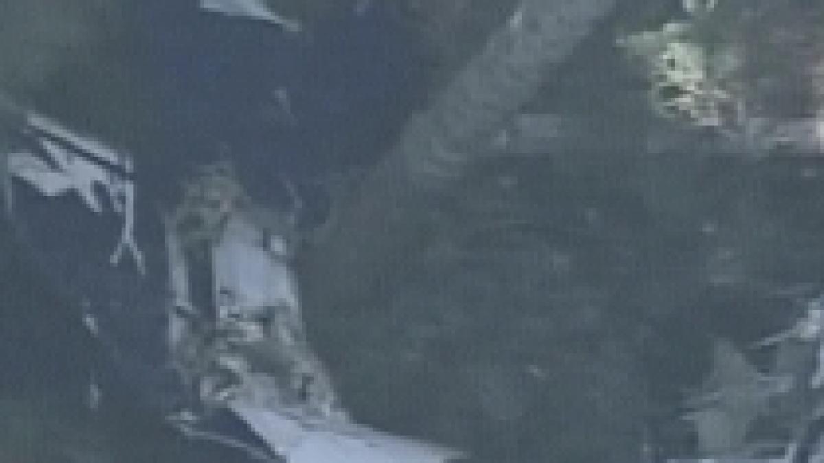 canada accident aviatic soldat cu moartea a sapte persoane