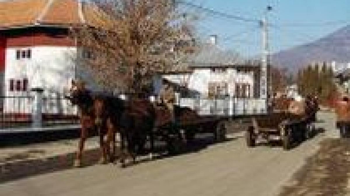 elevii de la doua scoli din maramures sufera de frig pentru ca centralele termice sunt stricate