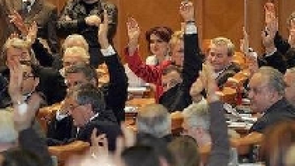 campanie cu bate si pumni batai agresiuni si lovituri sub centura politicii