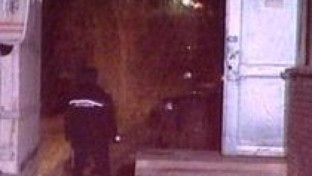 dosar penal pentru ucidere din culpa si vatamare corporala in cazul petrila